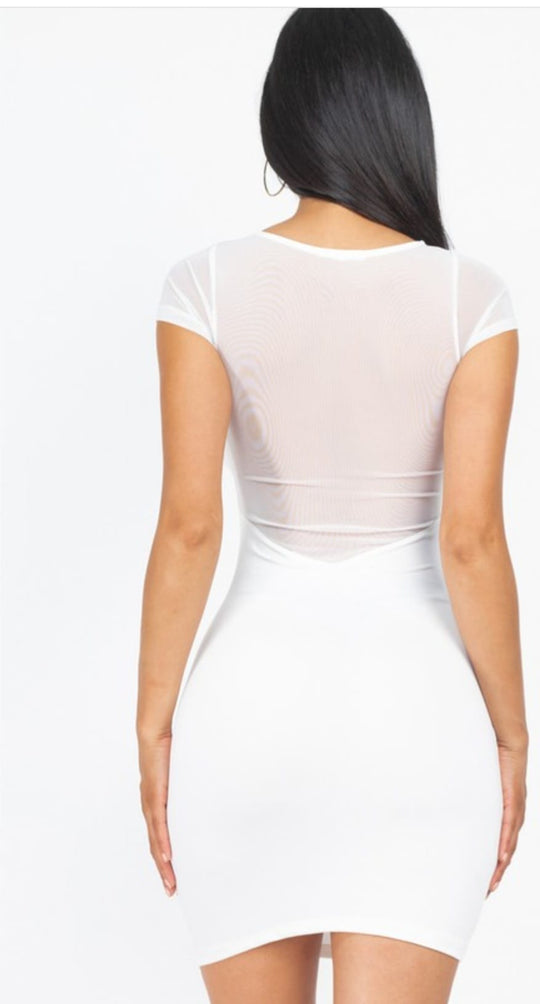 Sheer Meshed Bodycon Dress