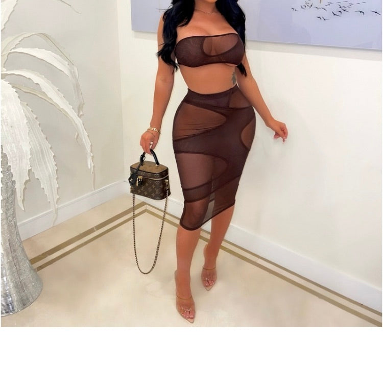 See Through Sexy Gauze Skirt Set