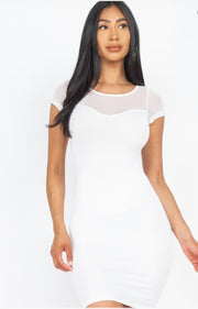 Sheer Meshed Bodycon Dress