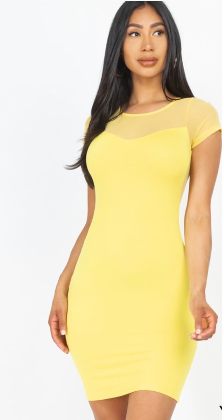 Sheer Meshed Bodycon Dress