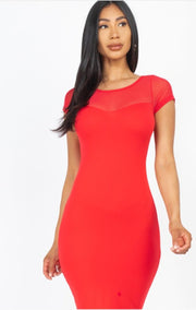 Sheer Meshed Bodycon Dress