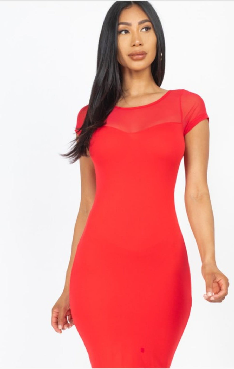 Sheer Meshed Bodycon Dress