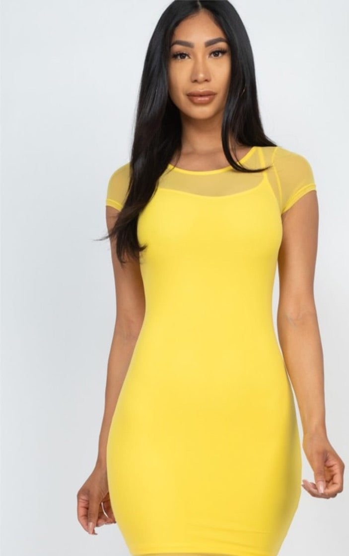 Mesh Two Pieces Bodycon Dress