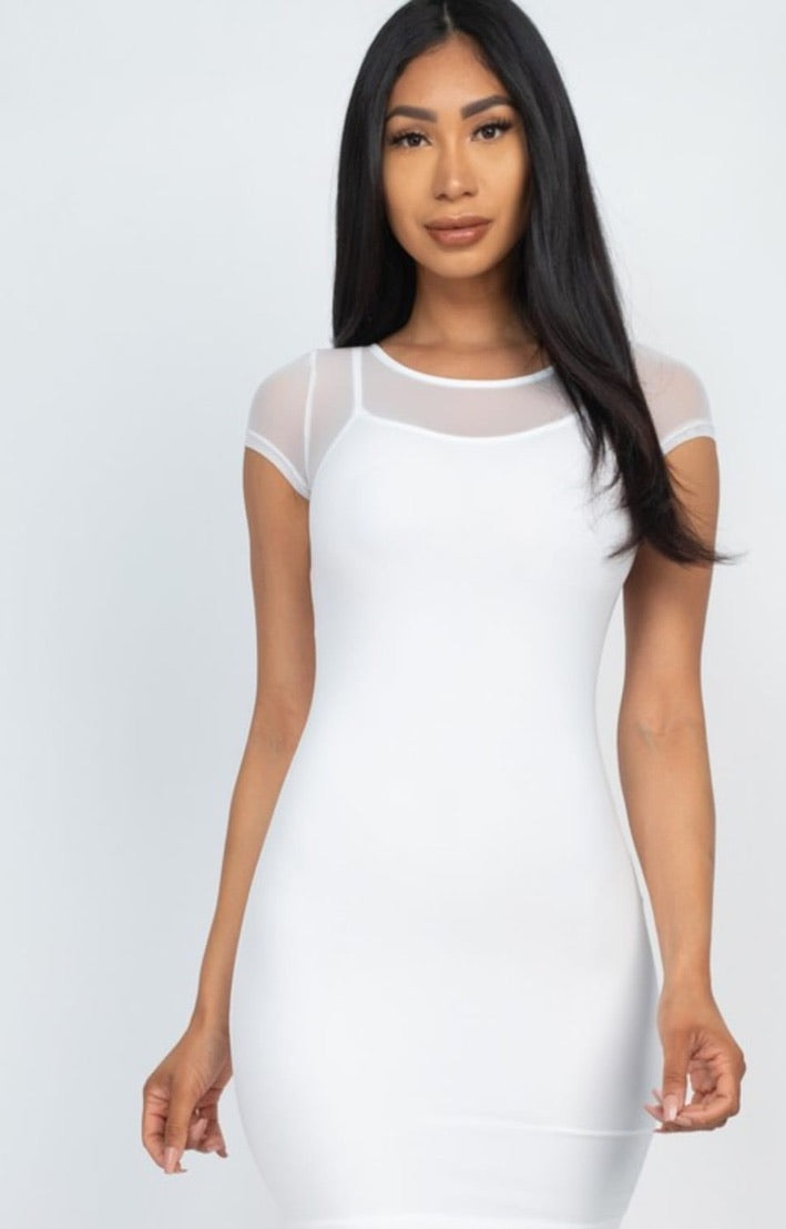 Mesh Two Pieces Bodycon Dress
