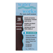 WATER WORKS Water Activated Permanent Powder Hair Color